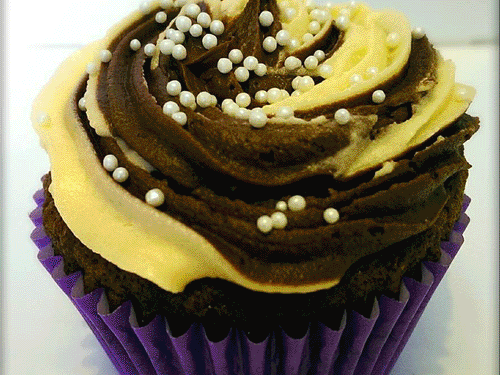 West Midlands Vegan Festival 2016