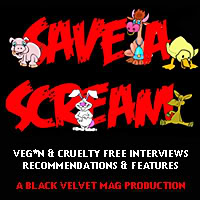 Save A Scream interview MVC founder Kevin White