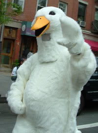 Veggie Pride Parade 2008 in New York