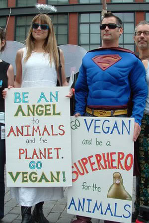 super hero for animals