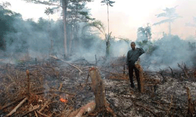 Deforestation, spreading deserts, melting ice caps, flooding - livestock farming causes all this and more